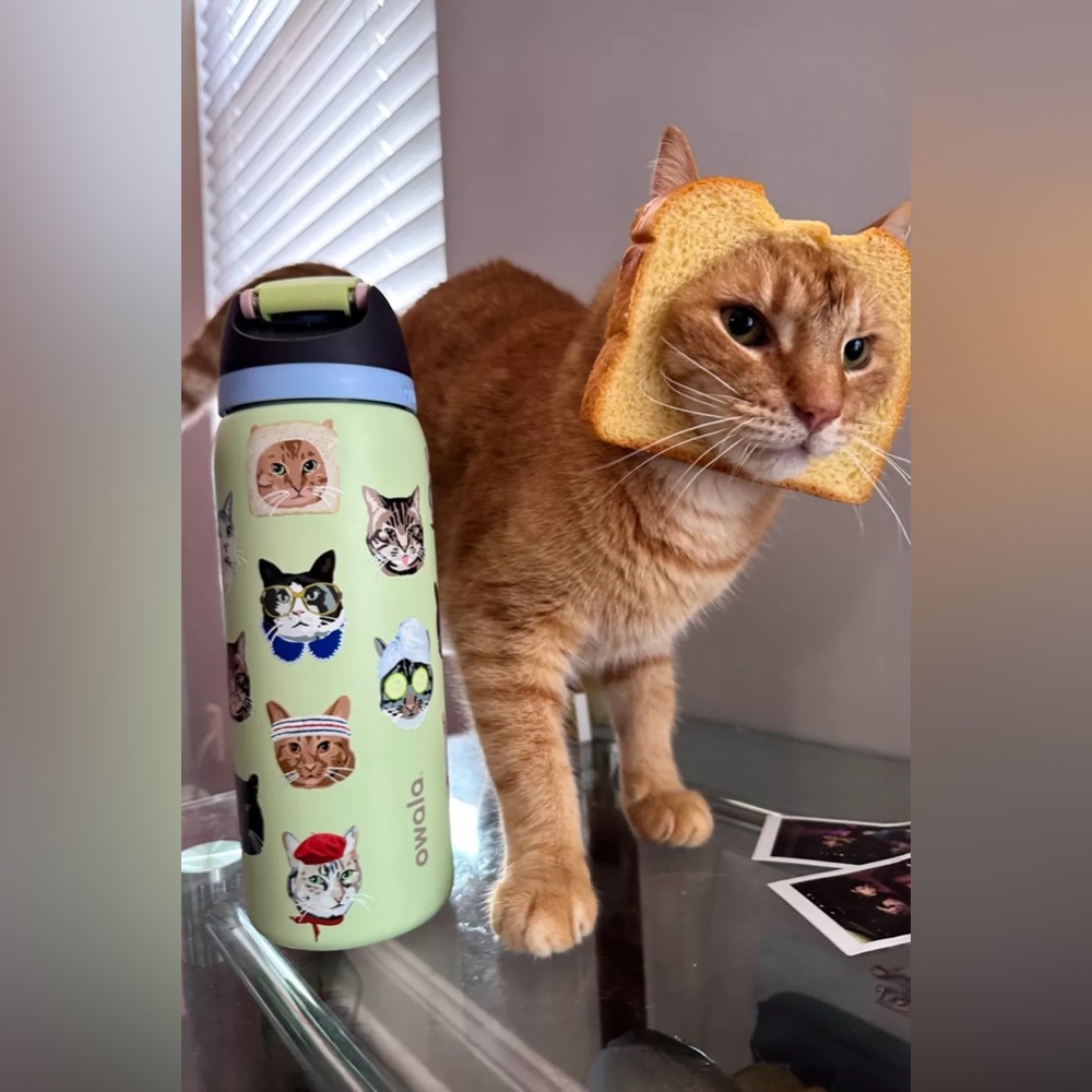 NEW!! OWALA | Cat Collage Owala Free Sip 32oz - Picture 3 of 5